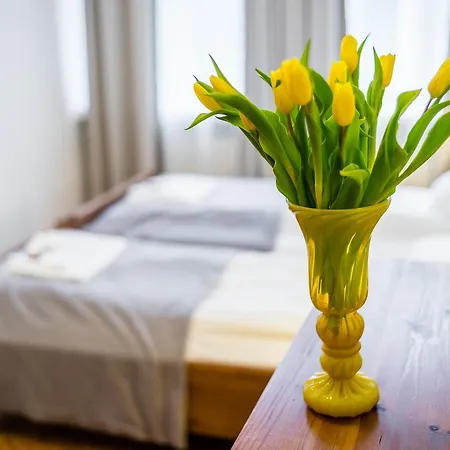 Apartament Zacisze Wawelofts Krakov Exteriér fotografie